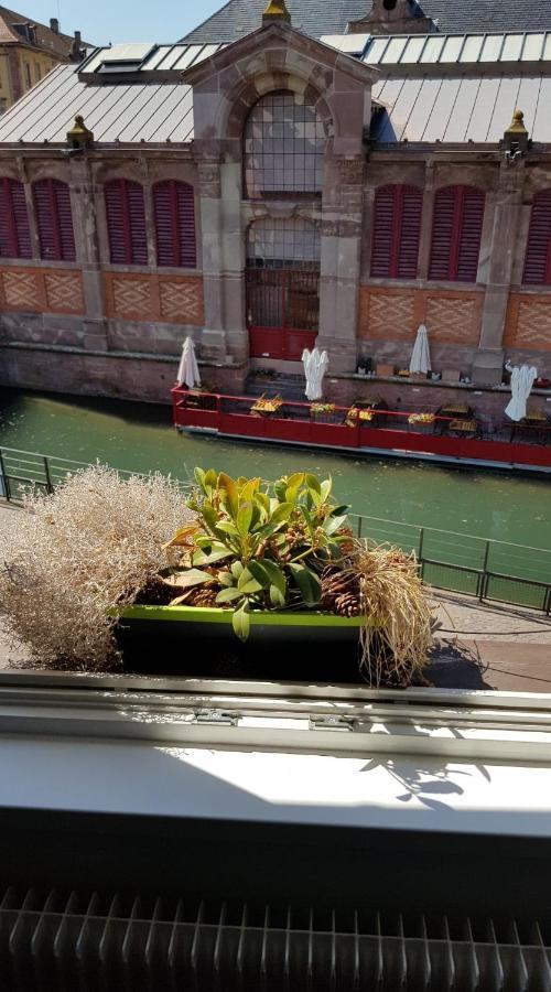 New ! Vue Petite Venise, Place To Be - Parking Colmar Zewnętrze zdjęcie